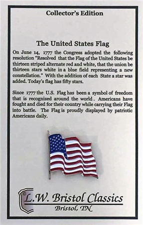 USA Waving Flag Pin