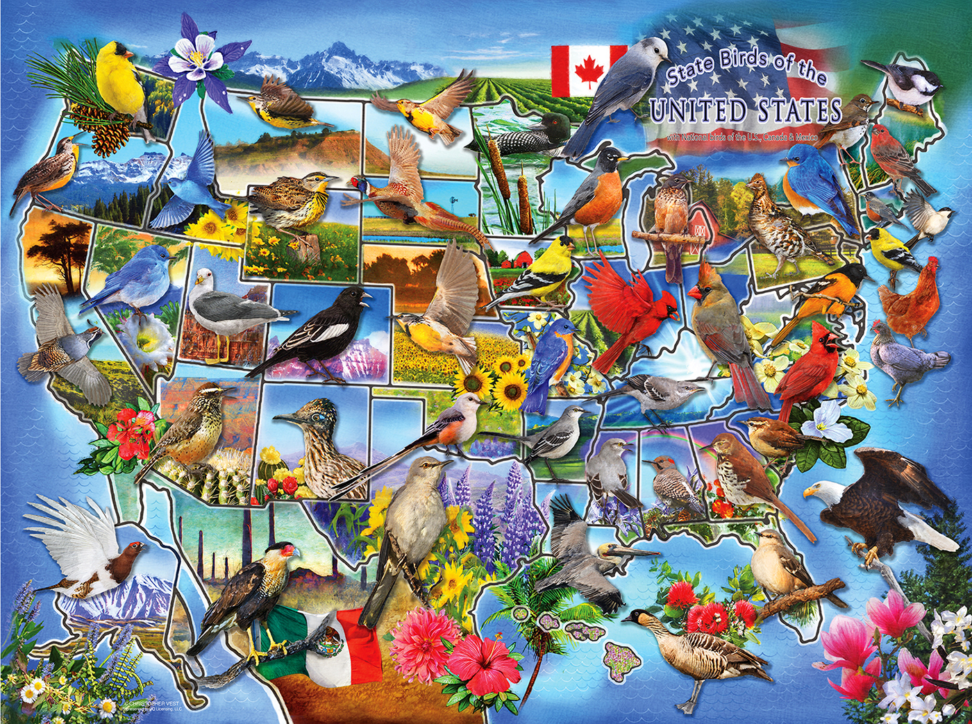 Puzzle: State Birds of the US  1000 pcs