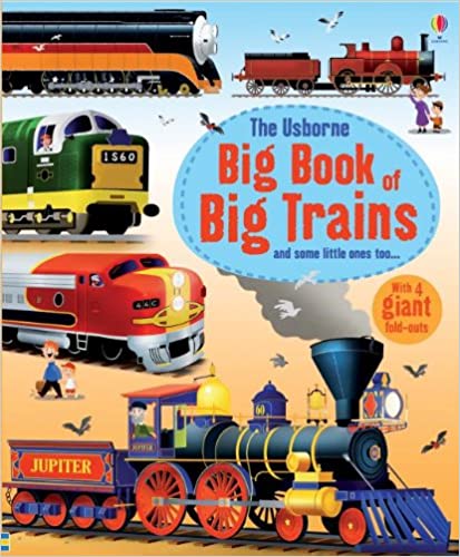 Bk: Big Book of Trains DK