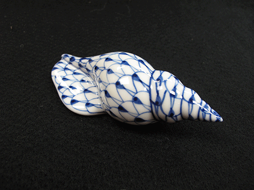 Porcelain-Seashell-Conch