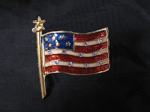 Pins-Flag w/ Pole and Star