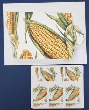 Corn Note Cards 5pk