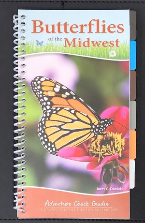 Butterflies of the Midwest