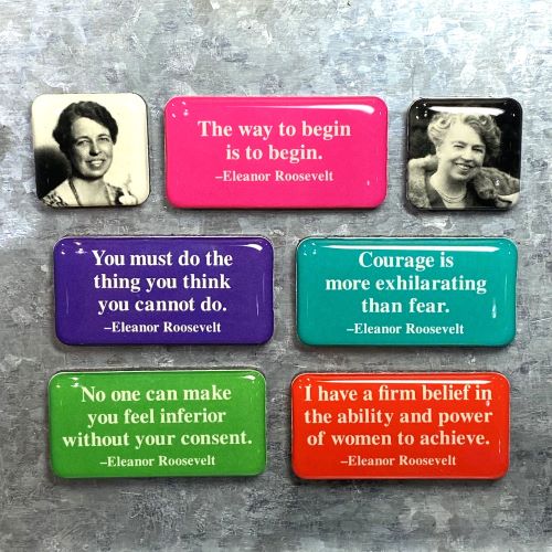 ER Mini Magnet Sets