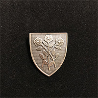 Coat of Arms Pin